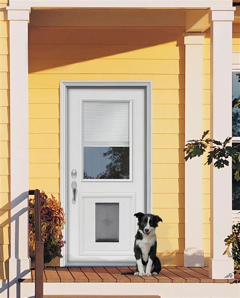 steel exterior door with doggie